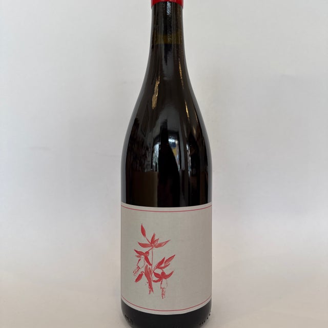 2019 Bourgogne Passetoutgrain Domaine Robert Chevillon